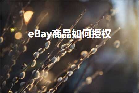 跨境电商知识:eBay商品如何授权